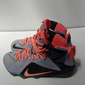 NIKE Lebron James 123084 Basketball Shoes US 7.5